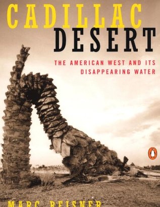 literature review on desertification